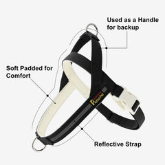 Correa PLUTUS PET de 150 cm para paseos cómodos y controlados.