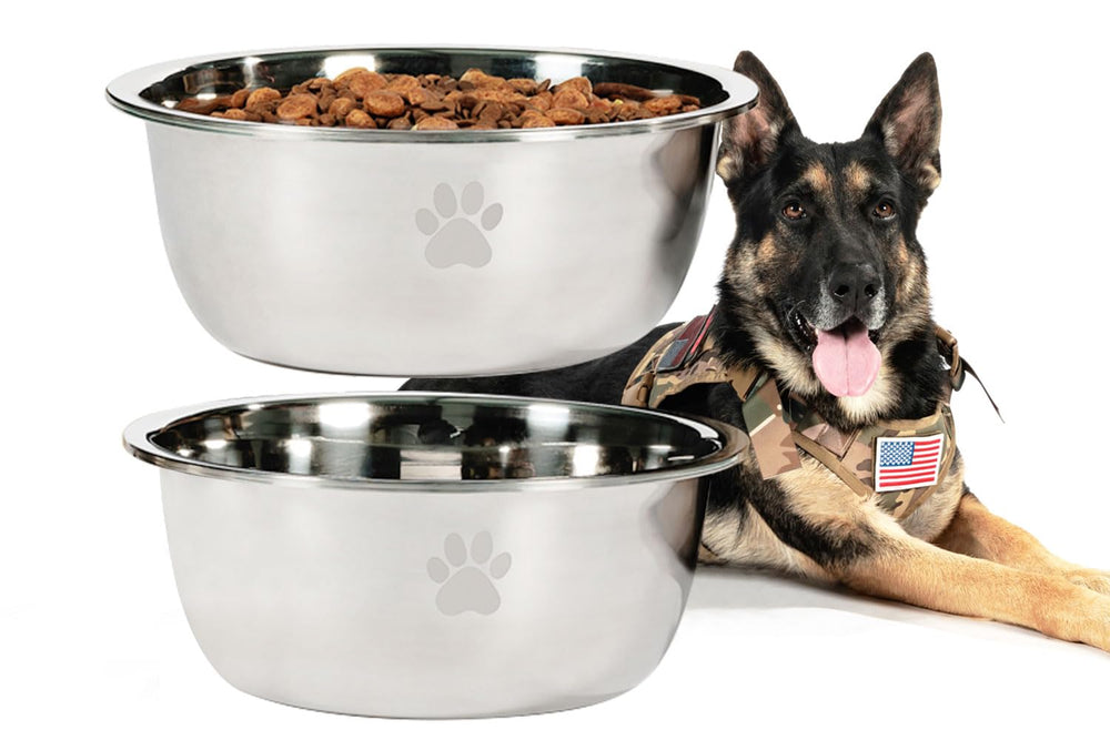 Podinor tazón grande doble pack: ideal para alimentar o hidratar perros medianos y grandes.