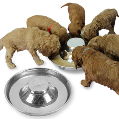Podinor tazones para perros en acero inoxidable, dos unidades, duraderos y fáciles de limpiar para comida y agua