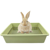 PODOO caja higiénica para conejo grande, diseño espacioso para desechos.