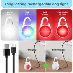POEEY luz canina con 4 modos para mayor visibilidad nocturna