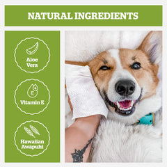 Pogi’s Dog Wipes Travel Packs: textura duradera para limpiar patas y cuerpo