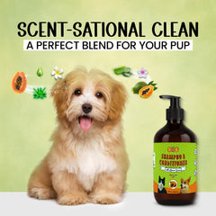 POM-PETS champú natural sin parabenos ni colorantes para baño seguro.