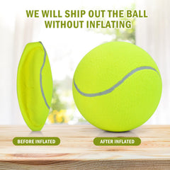 Pomeat bomba-inflable con aguja para inflar fácilmente.