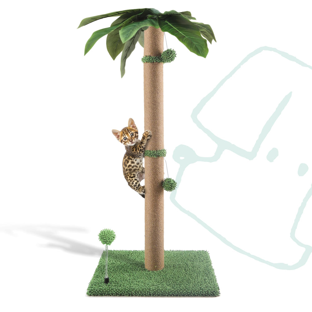 POMESEA poste rasgado para gatos de 34'' con base reforzada verde para interiores.