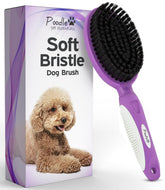 POODLIE cepillo con cerdas firmes para pelo corto, grooming suave para mascotas