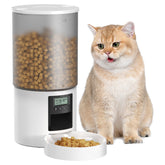 POOEKEN dispensador de alimento para gatos 6L, opción estable para alimentación regular.