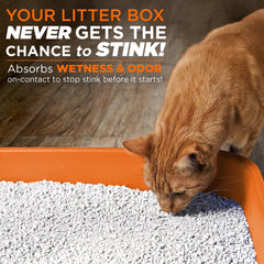 POOPH Litterizer-arena-seca-base mantiene la base de la caja de arena seca.