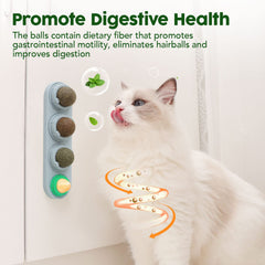 Bola Potaroma de energía para gatos para activar movimiento y metabolismo.
