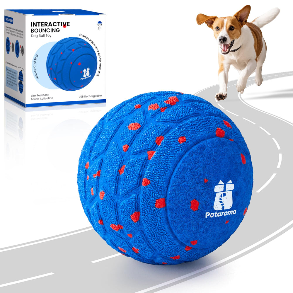 Potaroma bola interactiva en acción para jugar y entrenar