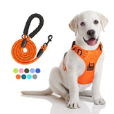 PoyPet arnés naranja para perros, vista frontal, cómodo y seguro en paseos.
