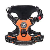 Arnés PoyPet sin tirón con clip frontal para paseos controlados