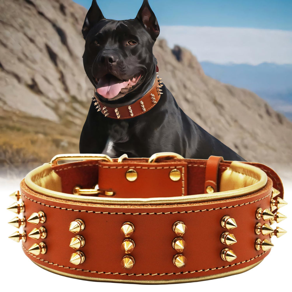 Collar PP COLOR de cuero con espigas y 2.2 pulgadas para protección y estilo.