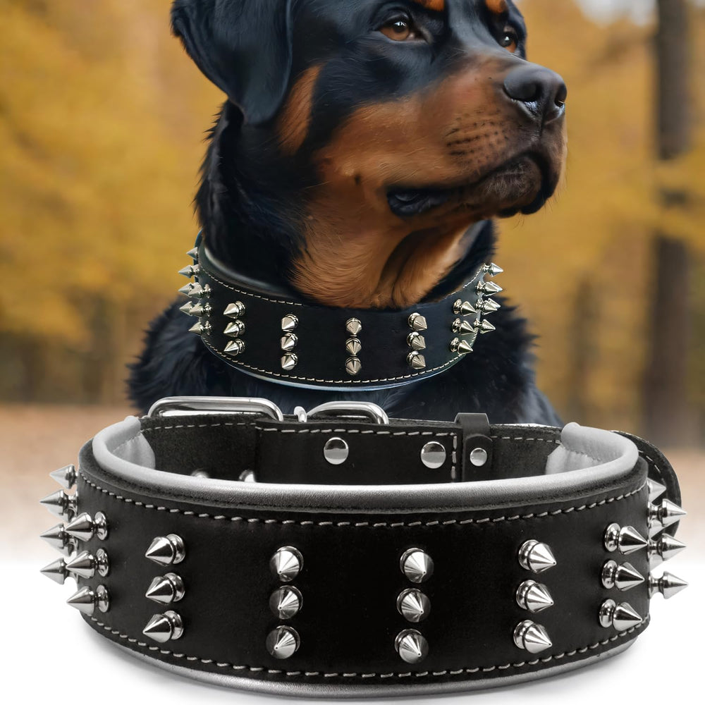 Collar PP COLOR de cuero con púas para razas grandes, presencia y protección.