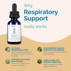 PranaPets gato-usando-suplemento-respiratorio: alivia estornudos ocasionales con uso regular.