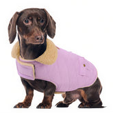 Preferhouse abrigo perro mediano lilac M, vista frontal para paseos cálidos en días fríos.