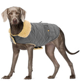 Preferhouse abrigo para perro grande visto frontal, cálido para paseos en frío.