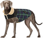 Abrigo Preferhouse para perros con diseño cuadriculado verde y calidez para salidas invernales.