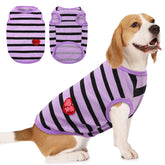 Camiseta para perros Preferhouse con rayas, vista frontal, ideal para paseos diarios.