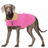 Preferhouse capa para perro grande - exterior frente, abrigo cálido para paseos invernales.