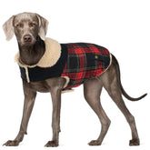 Frente de la capa Preferhouse para perro, ajuste cómodo para paseos diarios.