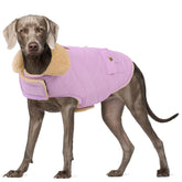Preferhouse chaqueta invierno para perro extragrande, vista frontal, abrigo cálido.