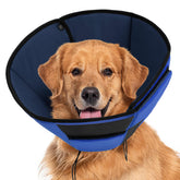 Preferhouse cono recuperacion perro grande azul, protección suave para la piel.