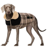 Preferhouse jaqueta perro invierno xl frente: abrigo cálido para paseos diarios.