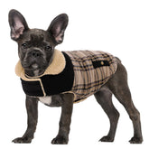 Abrigo Preferhouse para perro, vista frontal, mantiene cálido durante paseos.