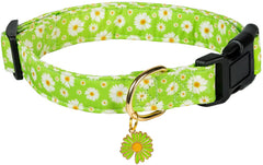 Collar de algodón PREHAI suave para perro, cómodo y ligero, ideal para paseos diarios.