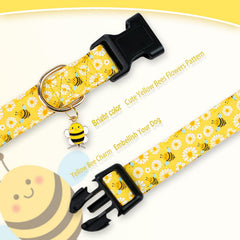 PREHAI collar con pespunte doble, mayor durabilidad para perros activos.