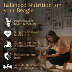 Prestige Breed Beagle Multivitamins: toma diaria para facilitar la rutina de cuidado regular.