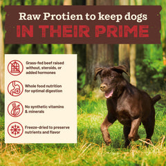 Primal Kibble en The Raw con ingredientes reales como manzana y espinaca.
