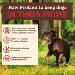 Primal Pet Foods: verduras orgánicas en la mezcla para nutrientes reales