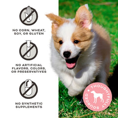 Primal Pet Foods Eres Mi Media Mantequilla trozos pequeños para perros de todos los tamaños.