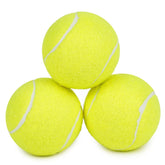 Prime Pets pelotas tenis 2,5 pulgadas azul, gran rebote para exterior y juego activo