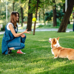 Prime Pets colores-brillantes-sin-chirrido, juego silencioso para apartamentos.