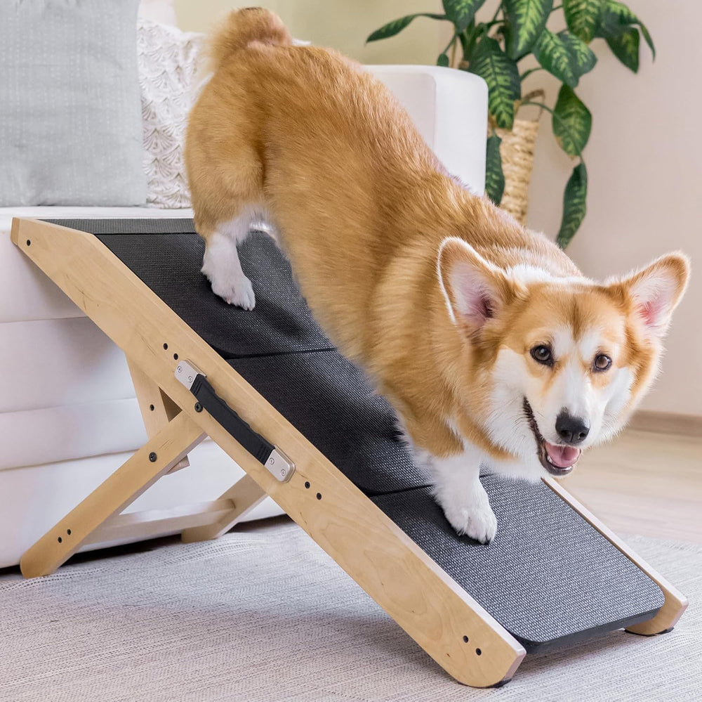 Priorpet rampa para perro con sofa antideslizante para subir con facilidad