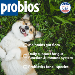 Frasco Probios con polvo dispersible de 240 g para mascotas.