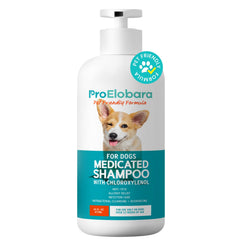 Champú antifúngico ProElobara para perros mejora la piel y el pelaje.