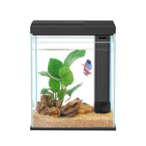 Pronetcus Betta 2 galones con vidrio claro para observar peces con claridad