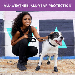 Paquete de 12 botas Protex PawZ para perros grandes.
