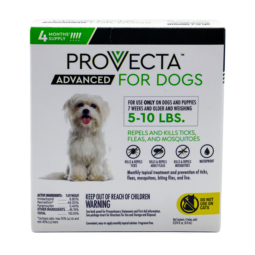 Provecta frasco de aplicación para perros pequeños, uso seguro.