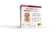 Provecta ofrece dosis mensual para prevenir futuras infestaciones en perros.