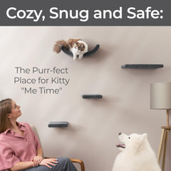 Pryde Pets diseño modular con perchas, optimiza el espacio en casa.