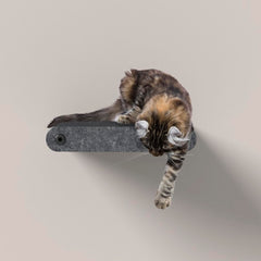 Pryde Pets escalones de gato para pared: acceso rápido y enriquecimiento felino.