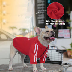 Sudadera PUMYPOREITY con diseño urbano para perros activos.