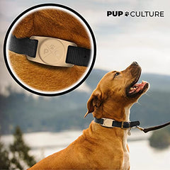 Pup Culture AirTag Collar: diseño impermeable para aventuras al aire libre.