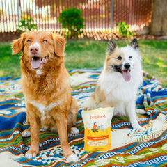 Snack con proteína y calcio para perros en crecimiento de Pupford.