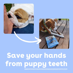 Pupford palitos bully textura dura, sensación masticable duradera para perros.